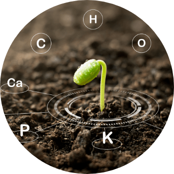 Micronutrients