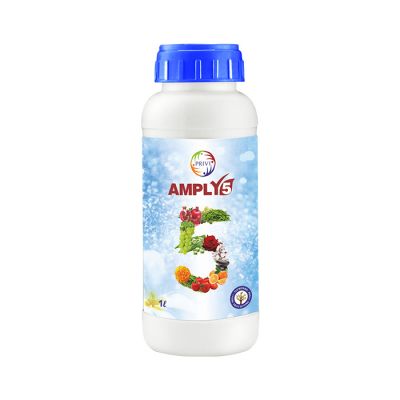 Amply 5