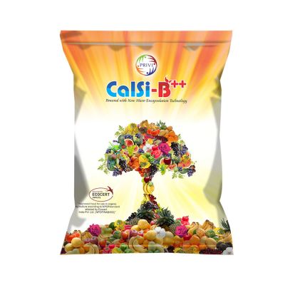 Calsi-B++