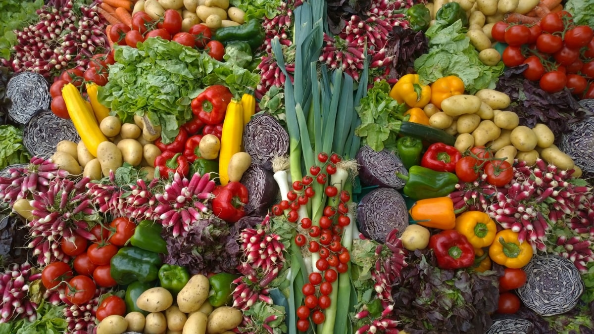 Integrated crop management of Vegetable crops | Privi